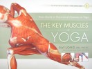 key-muscles-yoga