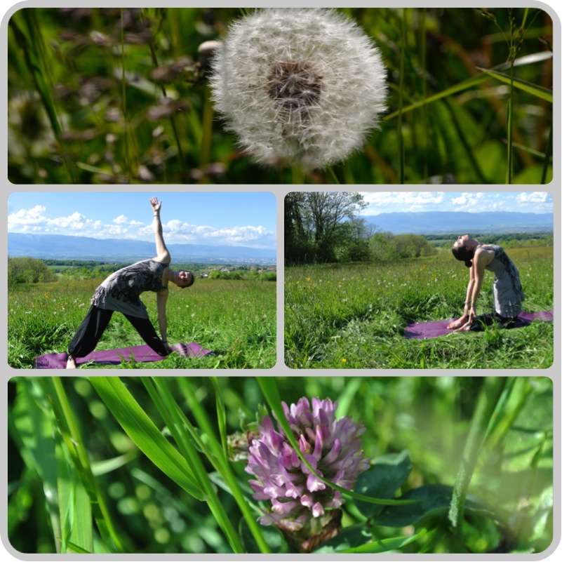 yoga-nature